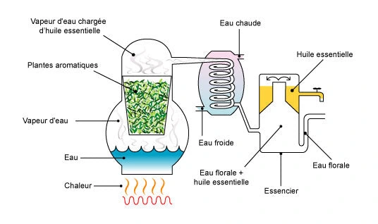 distillation-fr